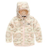 The North Face Campshire Todd Hoodie Prior Season